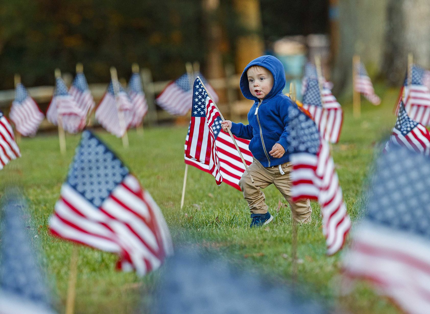 Scouts planted American Flags ahead of Veteran Day